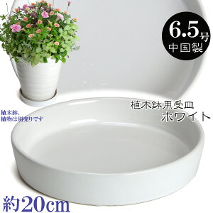 AؔpM   TCY@20cm@KN1200@6D5@zCg