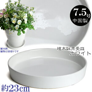 植木鉢用受皿 陶器 おしゃれ サイズ 23cm KN1220 7.5号 ホワイト