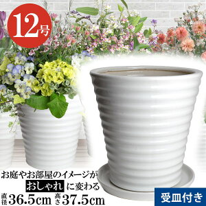 󂯎Mt Aؔ c 12 TCY     픫 ^  O x_ 傫 TCY 36.5cm KY6020-36 zCg  킢 Jo[ A A ϗtA  w̍