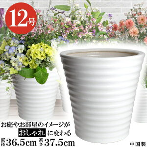 多肉植物 大型 プランターの人気商品 通販 価格比較 価格 Com 多肉植物 大型 プランターの人気商品 通販 価格比較 価格 Com