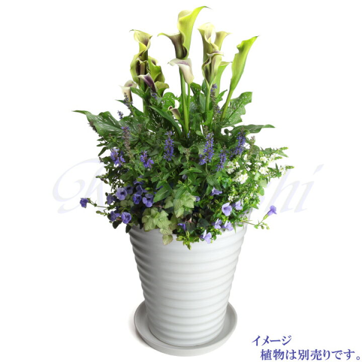 受け皿付き 植木鉢 縦長 10号 サイズ 鉢 陶器 白 おしゃれ 陶器鉢 大型 室内 屋外 ベランダ 大きい 30cm Ky60 30 ホワイト 可愛い かわいい 鉢カバー 鉢植え 多肉植物 観葉植物 背の高い インテリア ガーデニング 園芸 高知インター店