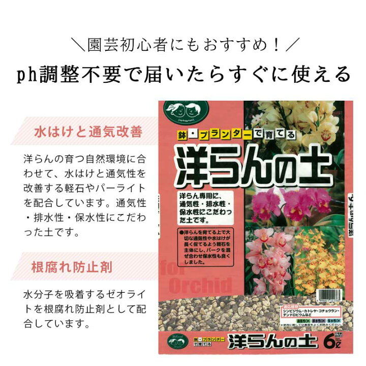 楽天市場 胡蝶蘭 洋らんの土 6l 6l 1袋 洋蘭 洋ラン 胡蝶蘭 苗 土 用土 シンビジウム カトレア コチョウラン 軽石 バーク パーライト ゼオライト 配合 根腐れ 水はけ 保肥力 土 室内 屋外 蘭 ラン ガーデニング資材 鉢 プランターで育てる 洋らんの土 植木鉢