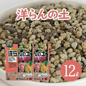 Ӓ m̓y 12L (6L×2) m m Ӓ c y py VrWE JgA R`E y o[N p[Cg [ICg z  ͂ ۔ y  O   K[