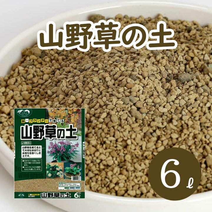 楽天市場 山野草の土 6l 6l 1袋 洋ラン スミレ 苗 土 ゼオライト 配合 Ph調整済み 洋蘭 蘭 軽石 赤玉土 コンテナ ベランダーガーデン 根腐れ 水はけ 保肥力 用土 室内 屋外 ベランダ 園芸 ガーデニング資材 鉢 プランターで育てる 山野草の土 植木鉢 メダカ鉢