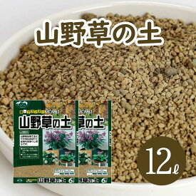 楽天市場 軽石 蘭の通販