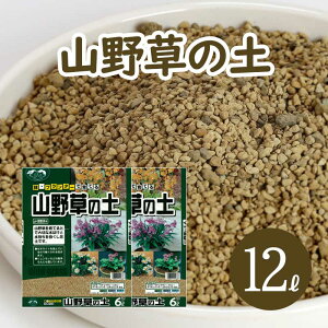 R쑐̓y 12L (6L×2) m X~ c y [ICg z pHς m  y ԋʓy Rei x_[K[f  ͂ ۔ py  O x_ | K[fjO