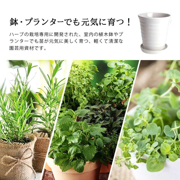 楽天市場 ハーブ 栽培 土 ハーブの土 小分け 3l 1l 3袋 元肥入り Ph調整済み ハーブ用 土 パーク堆肥 ピートモス 赤玉土 軽石 ゼオライト 水はけ 保肥力 土 室内 屋外 ベランダ 菜園 小分け ガーデニング資材 鉢 プランターで育てる ハーブの土 植木鉢 メダカ鉢