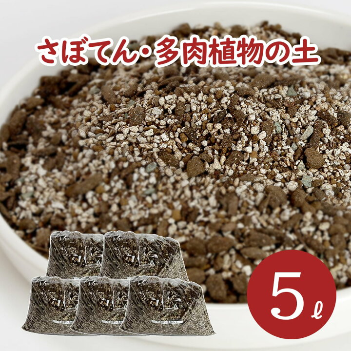 楽天市場 サボテン 多肉植物の土 5l 1l 5袋 Ph調整済み サボテンの土 多肉 用土 軽石 赤玉土 バーミキュライト ゼオライト 配合 根腐れ 水はけ 保肥力 サボテン 多肉植物 専用 土 室内 小分け ガーデニング資材 鉢 プランターで育てる さぼてん 多肉植物の土