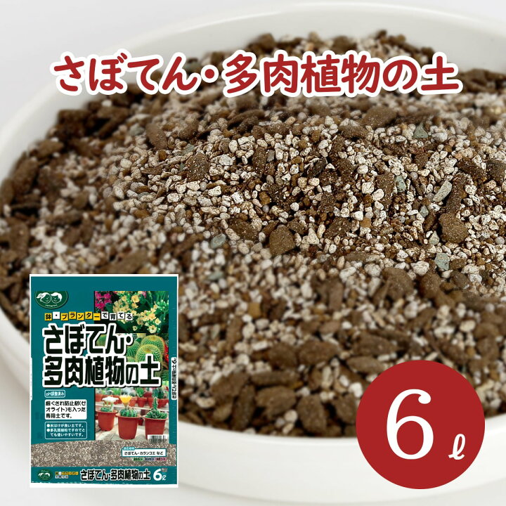 楽天市場 サボテン 多肉植物の土 6l 6l 1袋 Ph調整済み サボテンの土 多肉 用土 軽石 赤玉土 バーミキュライト ゼオライト 配合 根腐れ 水はけ 保肥力 サボテン 多肉植物 専用 土 室内 小分け ガーデニング資材 鉢 プランターで育てる さぼてん 多肉植物の土