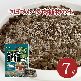 楽天市場 多肉植物 ゼオライトの通販