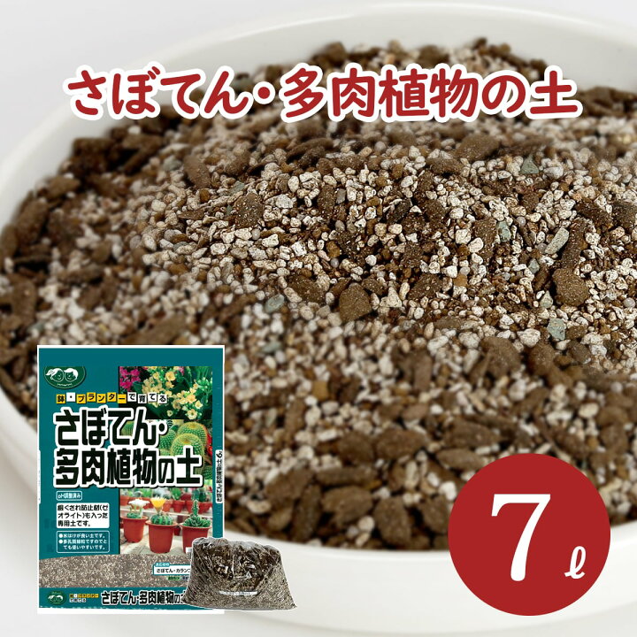 楽天市場 サボテン 多肉植物の土 7l 6l 1袋と1l 1袋 Ph調整済み サボテンの土 多肉 用土 軽石 赤玉土 バーミキュライト ゼオライト 配合 根腐れ 水はけ 保肥力 サボテン 多肉植物 専用 土 室内 小分け ガーデニング資材 鉢 プランターで育てる さぼてん 多肉植物の
