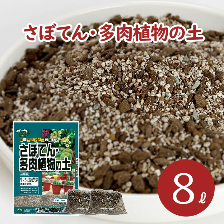 楽天市場 サボテン 多肉植物の土 8l 6l 1袋 1l 2袋 Ph調整済み サボテンの土 多肉 用土 軽石 赤玉土 バーミキュライト ゼオライト 配合 根腐れ 水はけ 保肥力 サボテン 多肉植物 専用 土 室内 小分け ガーデニング資材 鉢 プランターで育てる さぼてん 多肉植物の 楽天市場 サボテン 多肉植物の土 8l 6l 1袋 1l 2袋 Ph調整済み サボテンの土 多肉 用土 軽石 赤玉土 バーミキュライト ゼオライト 配合 根腐れ 水はけ 保肥力 サボテン 多肉植物 専用 土 室内 小分け ガーデニング資材 鉢 プランターで育てる さぼてん 多肉植物の