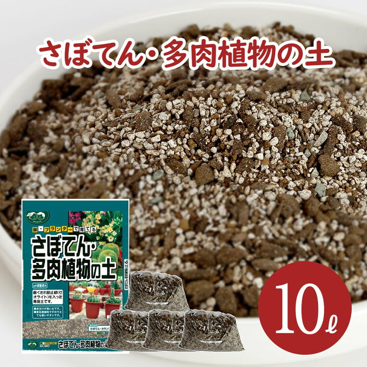 楽天市場 サボテン 多肉植物の土 10l 6l 1袋 1l 4袋 Ph調整済み サボテンの土 多肉 用土 軽石 赤玉土 バーミキュライト ゼオライト 配合 根腐れ 水はけ 保肥力 サボテン 多肉植物 専用 土 室内 小分け ガーデニング資材 鉢 プランターで育てる さぼてん 多肉植物の