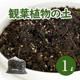 楽天市場 ピートモス Ph調整済の通販