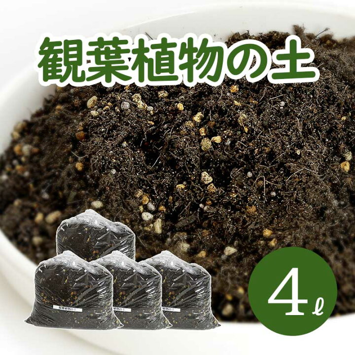 楽天市場 葉色が良くなる 観葉植物の土 小分け 4l 1l 4袋 元肥入り Ph調整済み 観葉植物用 土 パーク堆肥 ピートモス ココピート 赤玉土 鹿沼土 軽石 水はけ 保肥力 土 室内 小分け ガーデニング資材 鉢 プランターで育てる 観葉植物の土 植木鉢 メダカ鉢 七輪