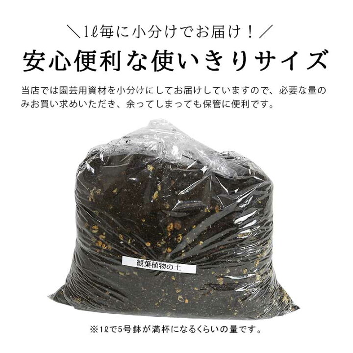 楽天市場 葉色が良くなる 観葉植物の土 小分け 1l 1l 1袋 元肥入り Ph調整済み 観葉植物用 土 パーク堆肥 ピートモス ココピート 赤玉土 鹿沼土 軽石 水はけ 保肥力 土 室内 小分け ガーデニング資材 鉢 プランターで育てる 観葉植物の土 植木鉢 メダカ鉢 七輪