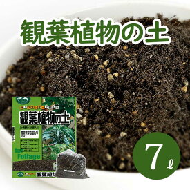 楽天市場 ピートモス 調整済の通販
