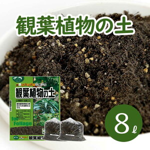 観葉植物 石 培養土 用土の人気商品 通販 価格比較 価格 Com