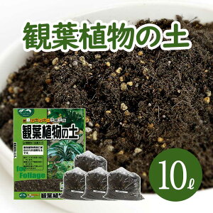 観葉植物 軽石 培養土 用土の人気商品 通販 価格比較 価格 Com