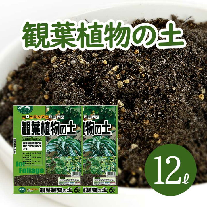 楽天市場 葉色が良くなる 観葉植物の土 小分け 12l 6l 2袋 元肥入り Ph調整済み 観葉植物用 土 パーク堆肥 ピートモス ココピート 赤玉土 鹿沼土 軽石 水はけ 保肥力 土 室内 小分け ガーデニング資材 鉢 プランターで育てる 観葉植物の土 植木鉢 メダカ鉢 七輪