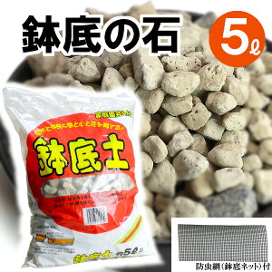 ɕ֗ Ev^[ňĂ ̐ 5L@hԓ