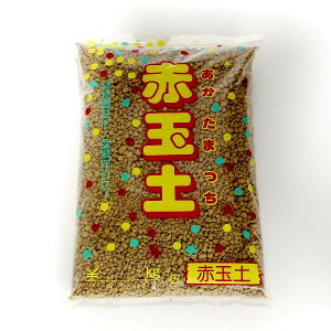 Ev^[ňĂ ԋʓy  1D5L