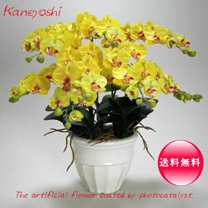 j   Mtg LOi oY a  \ Vz JX j G} Ӓ  5{ CG[