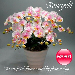 j   Mtg LOi oY a  \ Vz JX j G} Ӓ  5{ ~L[sN