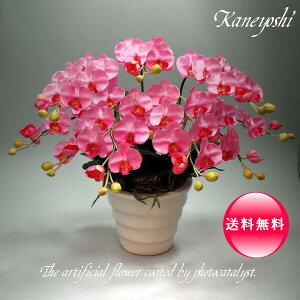 j   Mtg LOi oY a  \ Vz JX j G} Ӓ  5{ sN