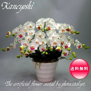 j   Mtg LOi oY a  \ Vz JX j G} Ӓ  5{ zCgA