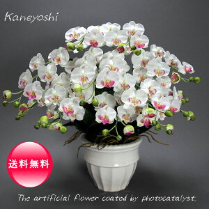  j   Mtg LOi oY a  \ Vz JX j G} Ӓ  7{ zCgA