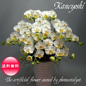  j   Mtg LOi oY a  \ Vz JX j G} Ӓ  7{ zCgB