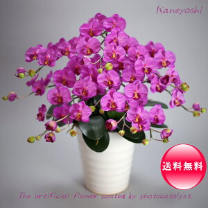 G}Ӓ   5{ oCIbg  ؂₩ i  z𑡂Mtg̒ CʂłpɂlC}㏸@bsO  jԂ Ӓ