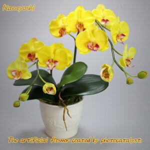 j   Mtg LOi oY a  \ Vz JX j G}Ӓ 1{V[g CG[