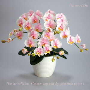 j   Mtg LOi oY a  \ Vz JX j G} Ӓ  3{ ~L[sN