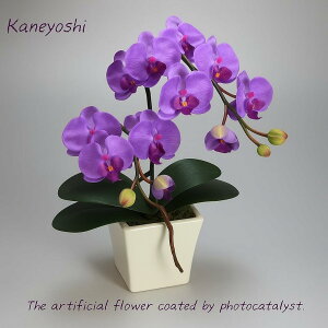 j   Mtg LOi oY a  \ Vz JX j G} Ӓ  1{V[g 