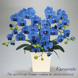 j   Mtg LOi oY a  \ Vz JX j G} Ӓ  3{ u[