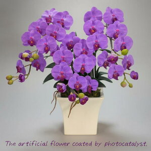 j   Mtg LOi oY a  \ Vz JX j G} Ӓ  3{ 