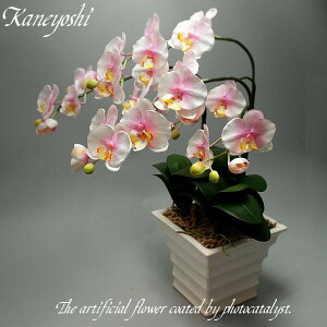 j   Mtg LOi oY a  \ Vz JX j G} Ӓ  3{ ~L[sN