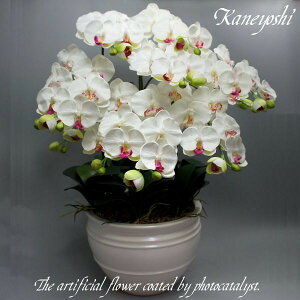  j   Mtg LOi oY a  \ Vz JX j G} Ӓ  7{ zCgA