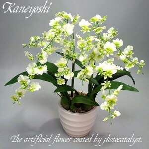 j  t[Mtg G}IVW[ 2{ zCgO[