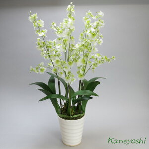 j  t[Mtg G}IVW[ 5{ zCgO[