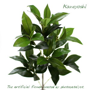 VLr 70cm VL~  ͂Ȃ ފ G}      @  ݉  t[l CeAO[ tFCNO[ ԍ f 