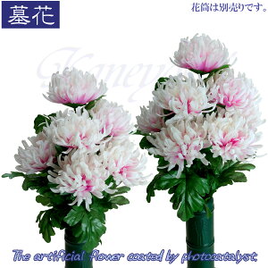  ފ ̉   G} ̉ e sN6 2Zbg e     G}   dp {   a dO ͂Ȃ 