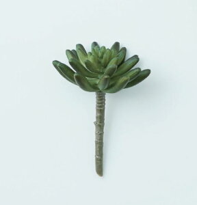 G} GPxA sbN  A ~j tFCNO[  Ǌ| nMO  C CeA O[ G fBXvC [    i` k K[