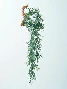 ���G�} �r�J�N�V�_ ���� ���G�} �ϗt�A�� �~�j �t�F�C�N�O���[�� ������� �Ǌ|�� �n���M���O ���^ �l�H�ϗt�A�� �����A�� �} ���� ���G�} ��C���� �C���e���A �O���[�� �G�� �� �� �l�H �� 