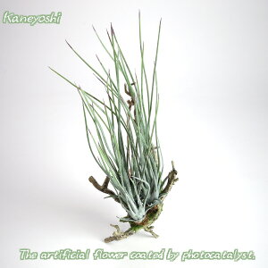 G} `WA  Vo[ G} ϗtA ~j tFCNO[ GAvc  Ǌ| nMO ^ lHϗtA A }  G} C CeAO[