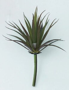 G} `WA sbN bh  A ~j tFCNO[  Ǌ| nMO  C CeA O[ G fBXvC [    i` k