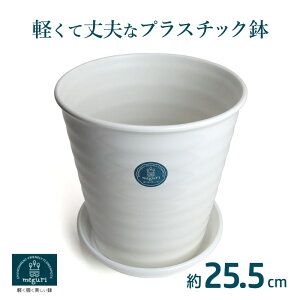 _ɂ₳yďv^ GR Aؔ Mt vX`bN 25.5cm Wv 8.5 CXzCg ی^ y Aؔ  ^ vX`bN 픫 픫 ̂悤 vX`bN