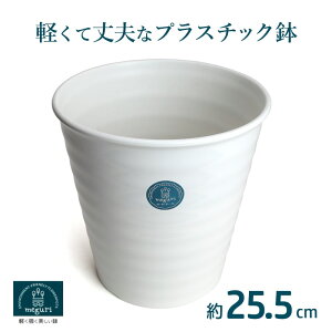 _ ɂ₳yďv ^ GR Aؔ vX`bN 25.5cm Wv 8.5 CXzCg ی^ y Aؔ  ^ vX`bN 픫 픫 ̂悤 vX`bN 